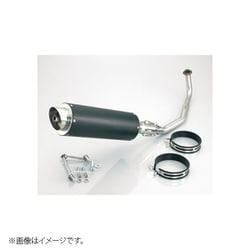 GPRダウンマフラー M1 ダウンT PCX150 548-1431310