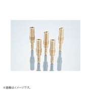 パイロットジェット (PWK28径) #42 451-3070420