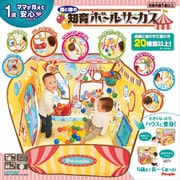 YG-026 頭と体の知育ボールサーカス [対象年齢：1歳～]