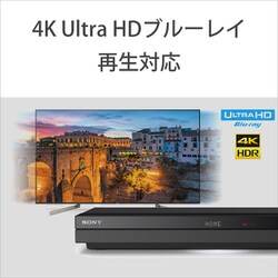 ヨドバシ.com - ソニー SONY BDZ-FBT2000 [ブルーレイディスク