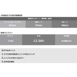 ヨドバシ.com - ブリヂストン BRIDGESTONE CC0C30 3P02BA0 [電動 