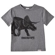 プリントTシャツ トリケラトプス グレー 110 [キャラクターグッズ]