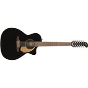 Villager 12-String, Walnut Fingerboard, Black V3