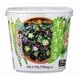 VEGE MISO SOUP オクラと5種の海藻 1食