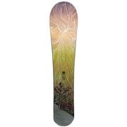 SECCA Forest 146