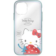 SAN-991KT [iPhone 11 Pro Max IIIIfit（イーフィット） クリアケース ハローキティ]