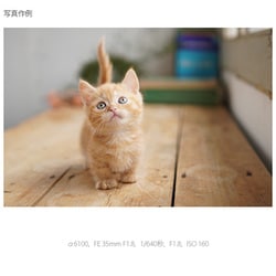 ヨドバシ.com - ソニー SONY ILCE-6100Y B [α6100(アルファ6100 ...