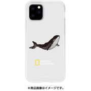 NG17126i58R [iPhone 11 Pro Into the Wild Jell-hard Case Whale]