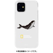 NG17158i61R [iPhone 11 Into the Wild Jell-hard Case Whale]