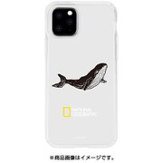 NG17186i65R [iPhone 11 Pro Max Into the Wild Jell-hard Case Whale]