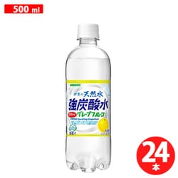 伊賀の天然水 強炭酸水 グレープフルーツ 500ml×24本 [炭酸水]