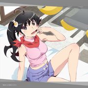 物語シリーズ ぷくぷく 阿良々木火憐 高まる女子力 ハンドタオル [キャラクターグッズ]