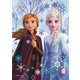 72-021 パズルデコレーション Elsa&Anna-icy white- [ジグソーパズル 108ピース（完成サイズ：18.2×25.7cm）]