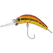 ハゼイモラS35 アカキン