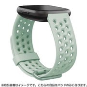FB171SBBUL [Fitbit Versaシリーズ専用 スポーツバンド Glacier Lサイズ]