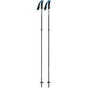 レーザーカーボンプロポール BD42116100 100cm [バックカントリー用 ストック]