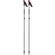 BD42118100 ﾚｰｻﾞｰｶｰﾎﾞﾝ 100cm [バックカントリー用 ストック]