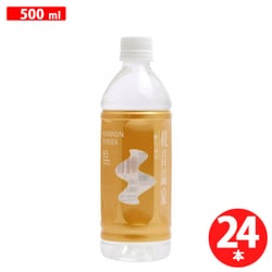 飲む温泉 観音温泉 500ml×24本