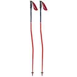 ワールドカップ GS FA115-00-110 110cm 2本セット [スキー ストック レーシング]