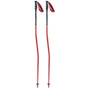 ワールドカップ GS FA115-00-120 120cm 2本セット [スキー ストック レーシング]