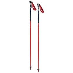 ワールドカップ SL FA105-00 110cm 2本セット [スキー ストック レーシング]