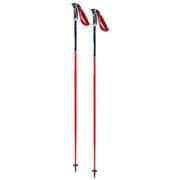 ワールドカップ SL FA105-00 110cm 2本セット [スキー ストック レーシング]