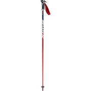 ワールドカッププロ SLカーボン AC105-00-125 125cm 2本セット [スキー ストック レーシング]