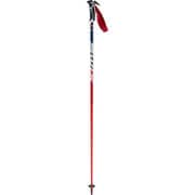 ワールドカッププロ SLカーボン AC105-00-135 135cm 2本セット [スキー ストック レーシング]