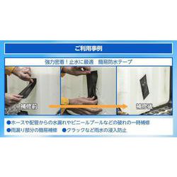 ヨドバシ.com - アサヒペン 補修材 T-REXウォータープルーフ