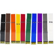RIP-TIE 50.8mmX304.8mm ケーブルラップ 10パック 虹 E-12-010-RW