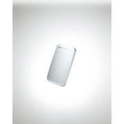 外付けSSD 小型ポータブルSSD 高速 USB3.2 Gen1 対応 TLC搭載 Type-C&Type-Aケーブル付属 250GB シルバー ESD-EF0250GSV