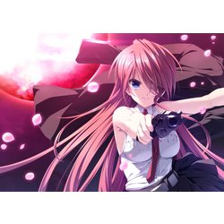 恋する乙女と守護の楯～薔薇の聖母～: 中古