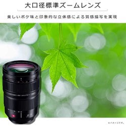 ヨドバシ.com - パナソニック Panasonic S-E2470 [LUMIX S PRO 24-70mm