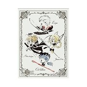 キャラクタースリーブ Fate/Grand OrderDesign produced by Sanrio Alter A EN-860 [トレーディングカード用品]