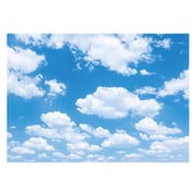 PHO-SH11 [フォトペーパーシート-11/空(1枚)]