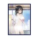 クロックワークス スリーブコレクションVol.33 ストライク・ザ・ブラッド 姫柊 雪菜 [トレーディングカード用品]