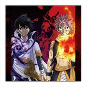 FAIRY TAIL マイクロファイバー B [キャラクターグッズ]