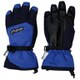 DEMONSTRATION BOYS GLOVES BL1 PS9G8GL82 JLサイズ [スキー グローブ ジュニア]
