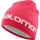 GRAPHIC BEANIE LC1143800 TEABERRY/CALYPSOCORA [アウトドア 帽子]