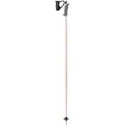 ARTENA S 6406891 ローズゴールド 115cm 2本セット [スキー ストック レディース]