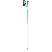 SAPHIR 6433731 ホワイトマット 110cm [スキーポール ストック]