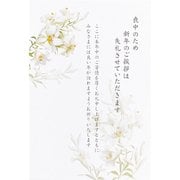 限定 喪中はがき6枚入 ゆり2 NCP-749-354