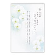 ヨドバシ.com - 限定 喪中はがき6枚入 胡蝶蘭 NCP-749-347の
