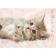 CL-392 [2020年カレンダー 子猫のマンチカン]