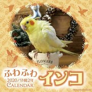 CL-398 [2020年カレンダー ふわふわインコ]