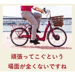 ヨドバシ.com - ブリヂストン BRIDGESTONE 電動アシスト三輪車