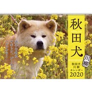 CL-406 [2020年カレンダー 秋田犬]