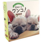 CL-410 [2020年カレンダー 卓上 日めくりワンコ！]