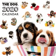 CL-1101 [2020年カレンダー THE DOG ALL-STAR]
