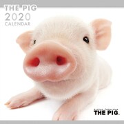 CL-1136 [2020年カレンダー THE PIG]